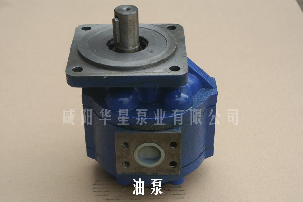 油泵 油泵